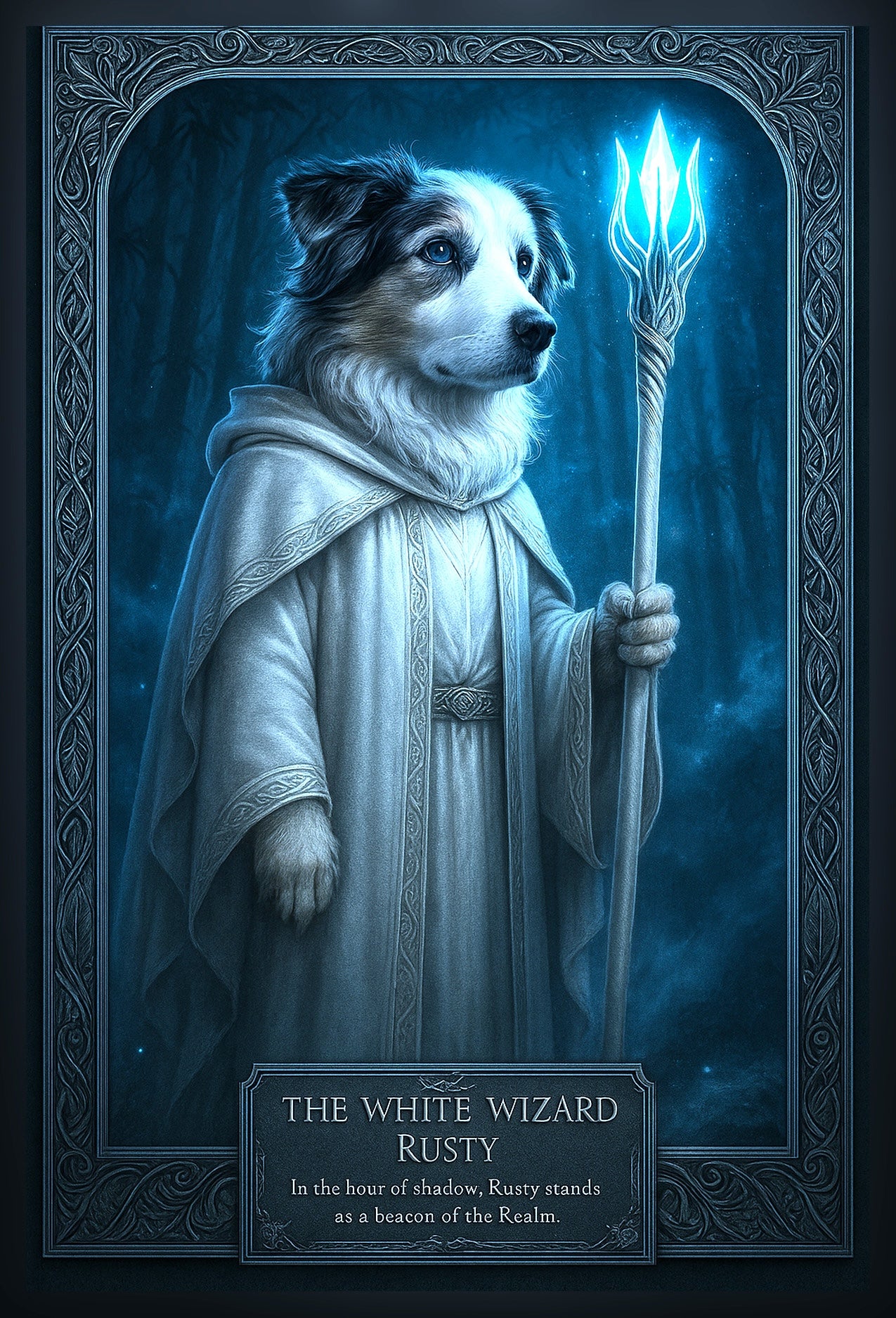 The White Wizard